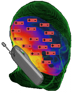 воздействие электромагнитного поля создаваемого сотовым телефоном на мозг человека